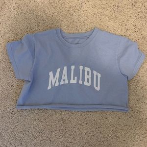 john galt malibu crop top